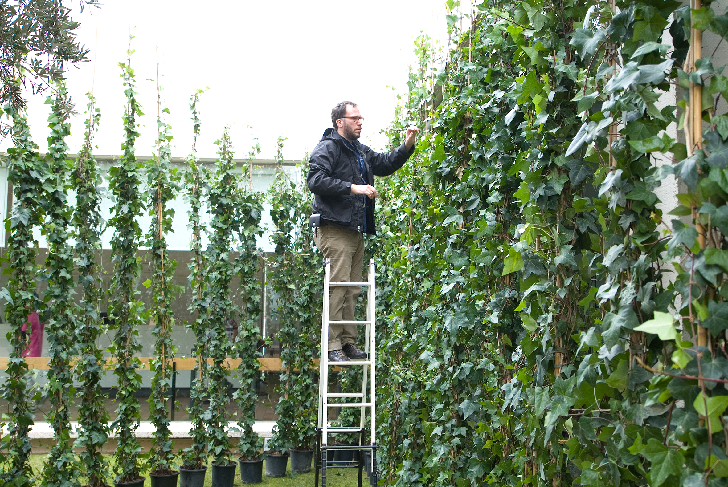 Contemplando la invasión, Jerónimo Hagerman